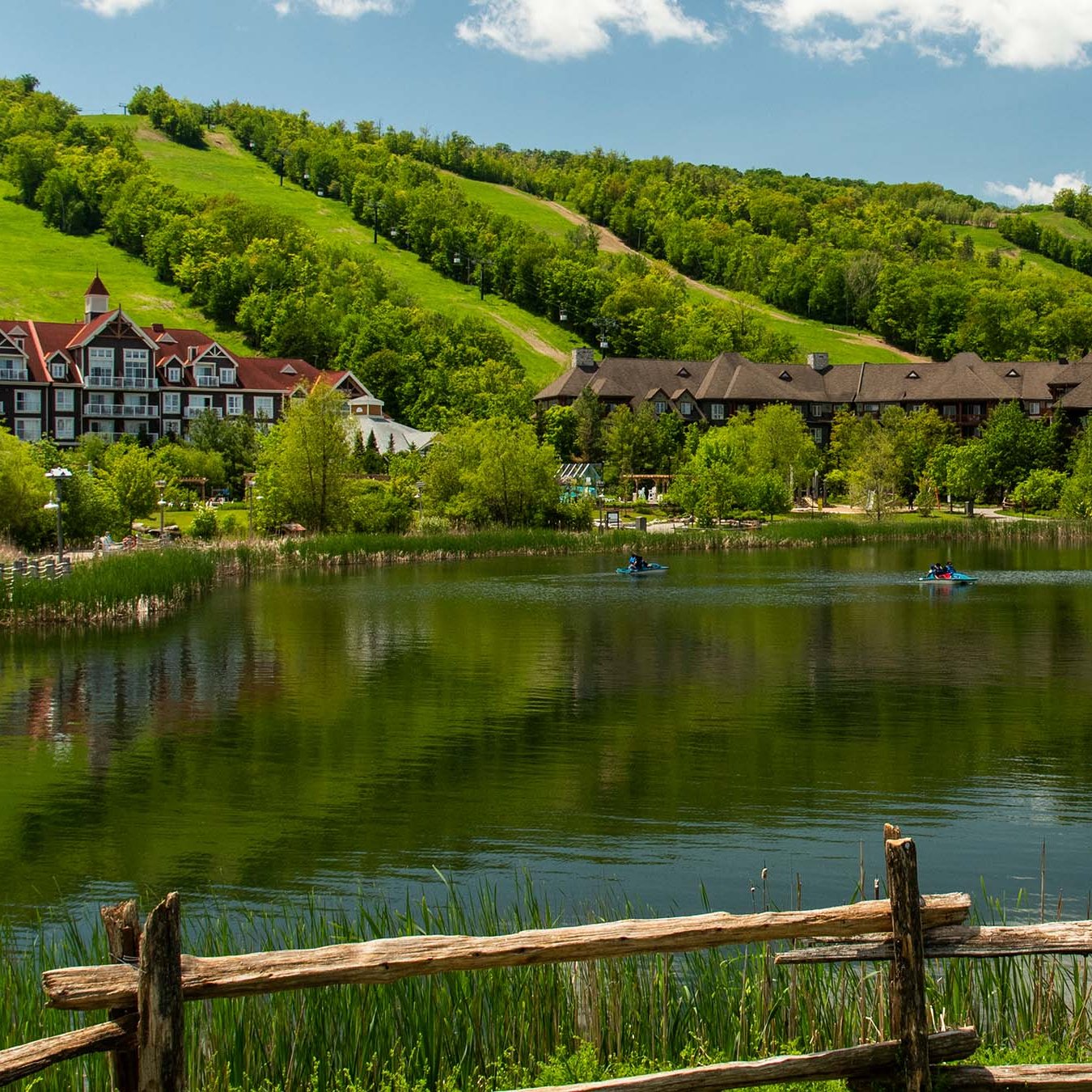 ADVENTURE AWAITS DONATION TO BLOOM